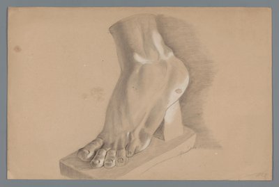 Modelo de yeso de un pie de Alexander Cranendoncq
