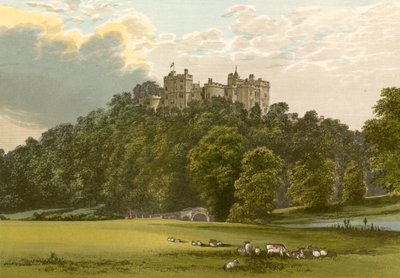 Castillo de Dunster de Alexander Francis Lydon