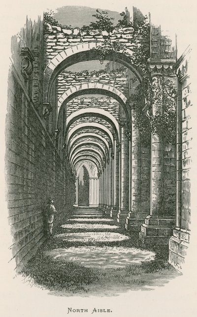 Abadía de Fountains, nave norte de Alexander Francis Lydon