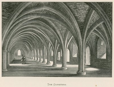 Abadía de Fountains, Los Claustros de Alexander Francis Lydon