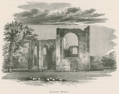 Abadía de Furness, mirando al norte de Alexander Francis Lydon