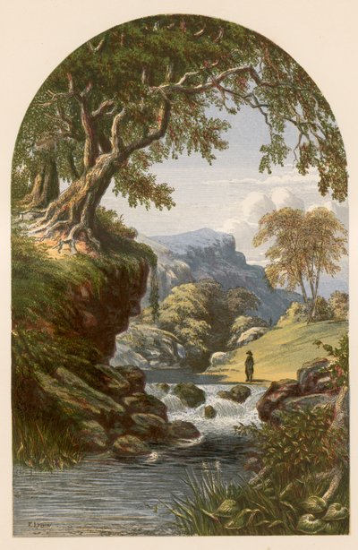 Ilustración para 