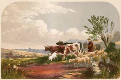 Ilustración para 