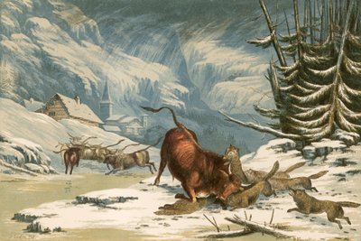 Ilustración para 