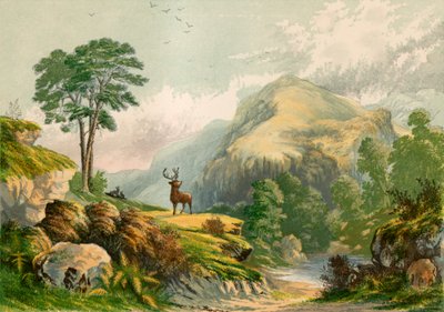 Ilustración para 