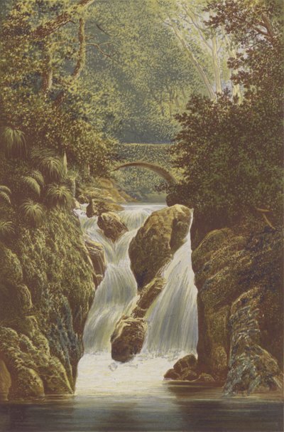 Rydal, Cascada inferior de Alexander Francis Lydon