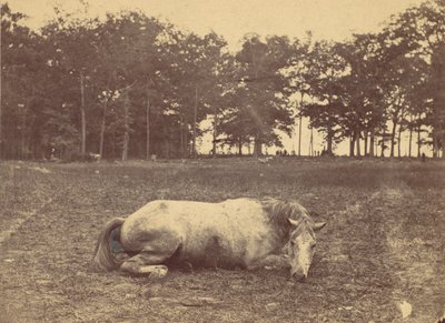 ¿Es esta la muerte? - Campo de batalla de Antietam, septiembre de 1862, 1862 de Alexander Gardner