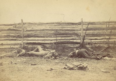 Vista en el Campo, en el Lado Oeste del Camino de Hagerstown, Después de la Batalla de Antietam, ..., 1862 de Alexander Gardner