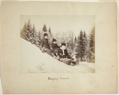 Tobogán, c.1873 de Alexander Henderson