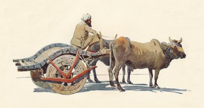 Un carro de bueyes, Jodhpur, c. 1880 de Alexander Henry Hallam Murray