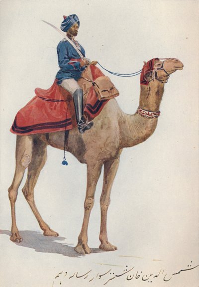 Un Camel-Sowar de los 10º Lanceros de Bengala, c1880 1905 de Alexander Henry Hallam Murray
