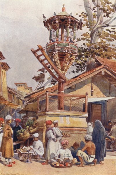 Un Lugar de Alimentación para Pájaros, Ahmedabad de Alexander Henry Hallam Murray