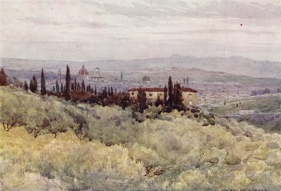 Florencia de los Jardines de los Olivos de San Domenico (litografia en color) de Alexander Henry Hallam Murray
