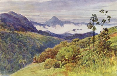 Niebla Matutina en el Valle del Mahawelli Gangha de Alexander Henry Hallam Murray