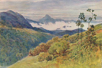 Niebla matutina en el valle del Mahawelli Gangha, c. 1880-1905 de Alexander Henry Hallam Murray