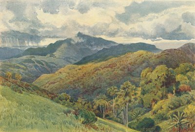 Las montañas desde Pallekelly, c1880 1905 de Alexander Henry Hallam Murray