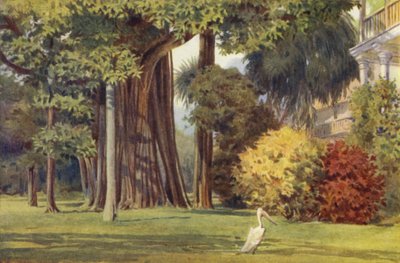 La Casa de la Reina, Colombo de Alexander Henry Hallam Murray