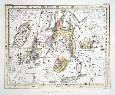 Las constelaciones (Placa VIII) Corona Borealis, Hércules y Cerbero, Lira, de 