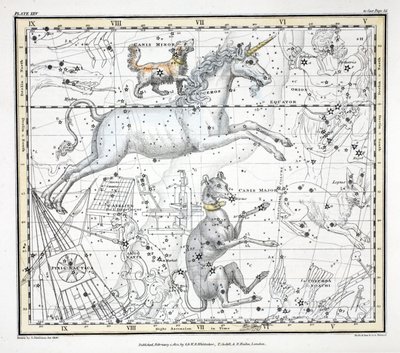 Las Constelaciones (Placa XXV) Canis Major, Canis Minor, Monoceros, Argo Navis, l