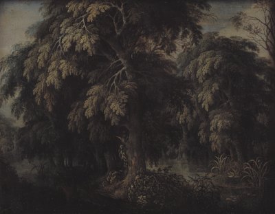 Paisaje boscoso de Alexander Keirincx