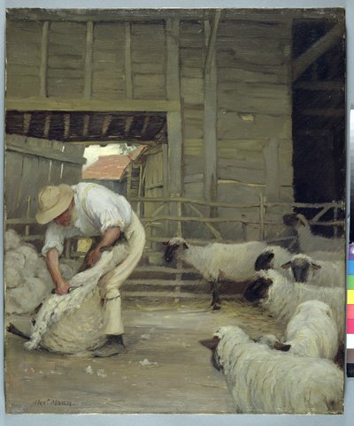 Esquila de ovejas de Alexander Mann