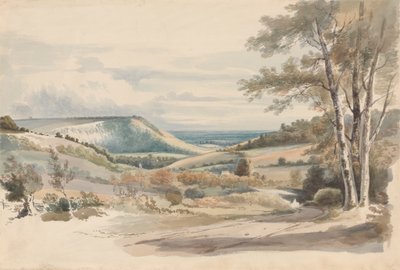 Boxhill desde West Humble Lane de Alexander Monro