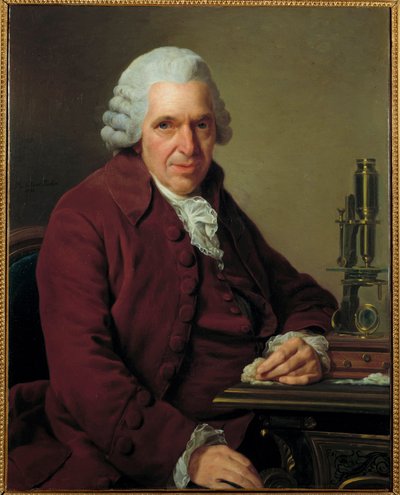 Retrato de Louis Jean Marie Daubenton, llamado Daubenton (1716 - 1800), naturalista francés de Alexander Roslin