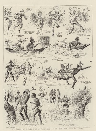 Caza de Mariposas, las Aventuras de un Entomólogo en África de Alexander Stuart Boyd