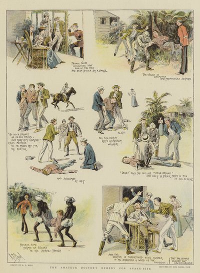El Remedio del Doctor Aficionado para la Mordedura de Serpiente de Alexander Stuart Boyd