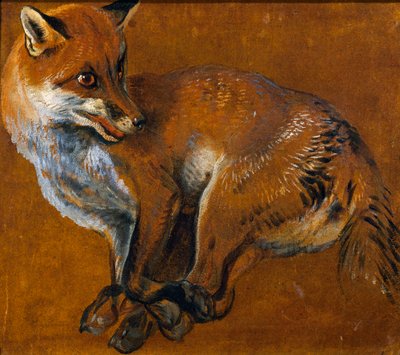 Zorro con patas atadas de Alexandre Francois Desportes