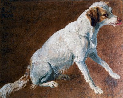 Ancestro del Spaniel francés, por Alexandre-Francois Desportes (1661-1743), Francia de Alexandre Francois Desportes