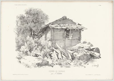 Cabaña de troncos con troncos de árboles caídos en primer plano de Alexandre Calame