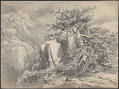  de Alexandre Calame