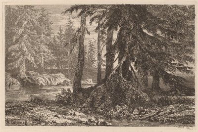 Ensayos de grabado al aguafuerte por Alexandre Calame, III, pl. 16 de Alexandre Calame