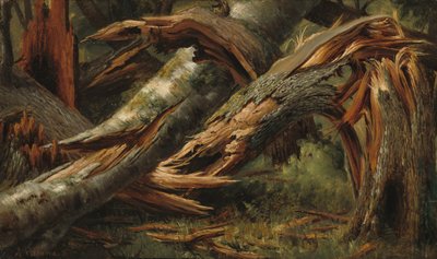 Árbol caído de Alexandre Calame