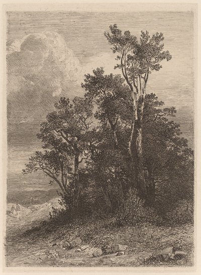 Arboleda de Alexandre Calame