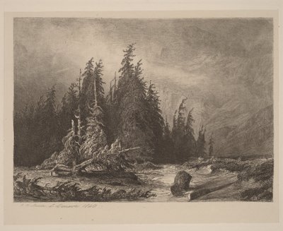 Pinos de montaña de Alexandre Calame