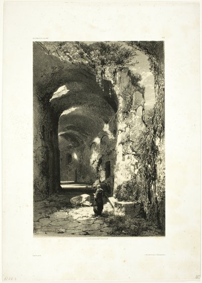 Ruina de un Anfiteatro en Pouzzoles (Reino de Nápoles), lámina 9 de Oeuvres de A. Calame de Alexandre Calame