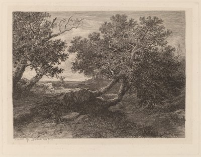 Arroyo con árboles colgantes de Alexandre Calame