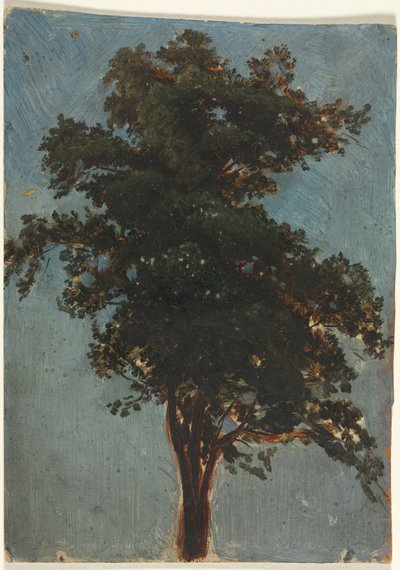  de Alexandre Calame