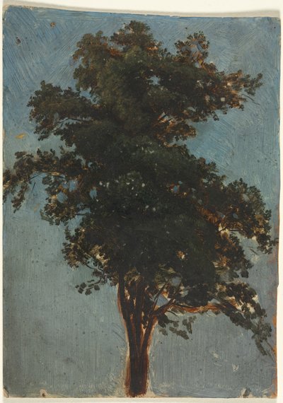 Estudio de árbol, segunda mitad del siglo XIX de Alexandre Calame