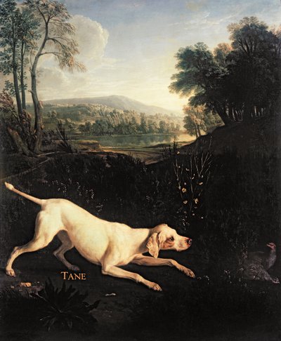 El perro de Luis XIV, Tane de Alexandre Francois Desportes