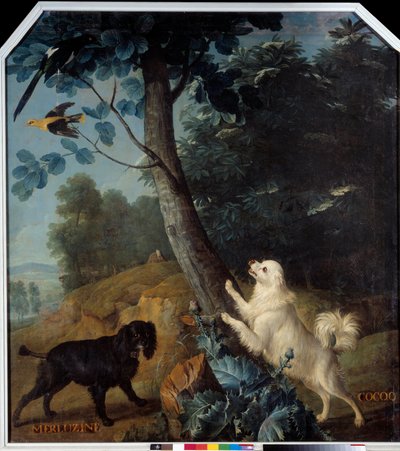 Merluzine y Cocoq, los perros de Luis XIV (1638-1715) de Alexandre Francois Desportes