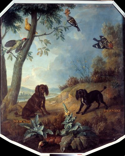Nuez moscada y Hermine, los perros de Luis XIV (1638-1715) de Alexandre Francois Desportes