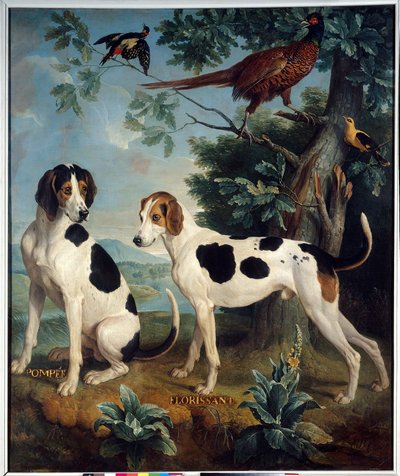 Pompee y Florissant, los perros de Luis XIV (1638-1715) de Alexandre Francois Desportes