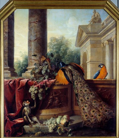 Naturaleza muerta con pavo real, un loro, un mono y racimos de uvas de Alexandre Francois Desportes