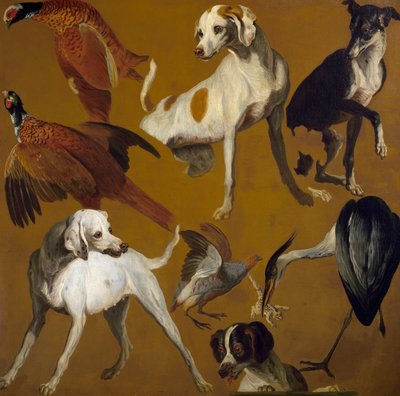 Estudio de aves y perros de Alexandre Francois Desportes
