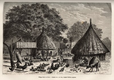 Aldea Diour en invierno (Sudán) y actividades diarias de los habitantes en medio de animales criados por la comunidad, grabado después del dibujo de A. de Bar, ilustrando el viaje al corazón de África en 1868-1871, por el Dr. Georges Schweinfurt de Alexandre de (after) Bar
