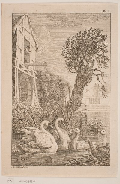 El ganso y el cisne de Alexia von Lode