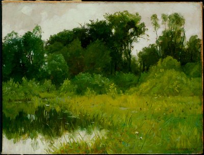 Después de la lluvia, en Minnehaha Creek de Alexis Jean Fournier